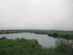 曇天の釧路湿原を眺める(拡大します)